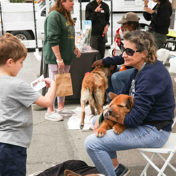 Young boy greeting a dog near the adoption van at Webster's street fair