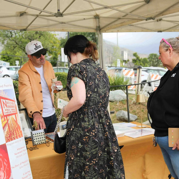 Attendees browsing a community information table at Webster's 100th anniversary fair