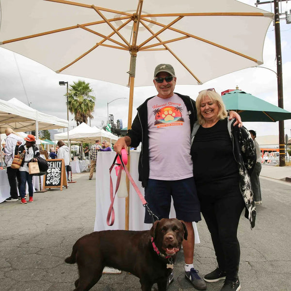 Couple walking their chocolate Lab under umbrellas at Webster's anniversary fair