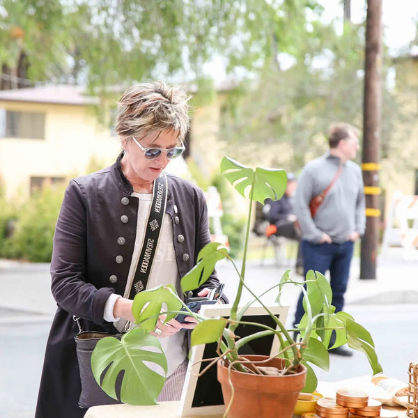 Shopper admiring a potted monstera at Webster's centennial street fair